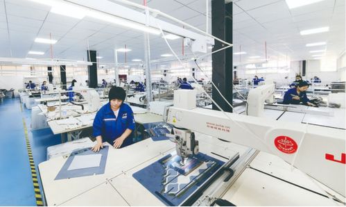 南樂縣集團(tuán)化戰(zhàn)略引領(lǐng)新材料服裝創(chuàng)新與就業(yè)增長(zhǎng)